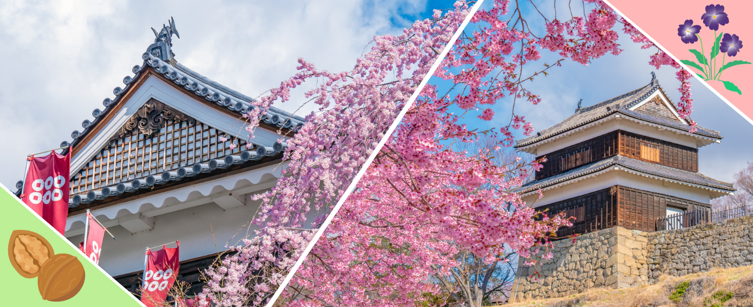 上田城と桜が見える風景
